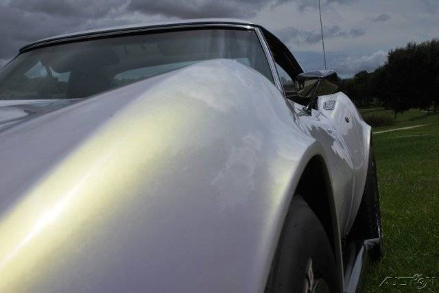 MARTINSRANCH 70 Corvette Convertible (24) 